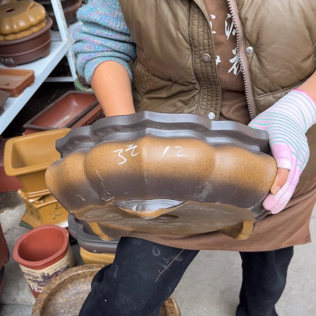 花盆紫砂盆景艺术