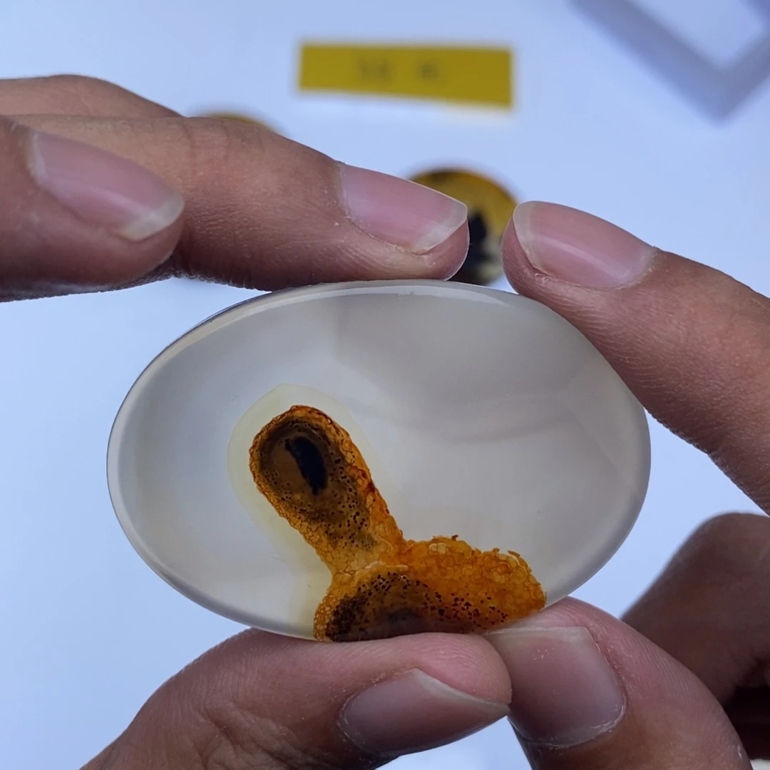 玛瑙/玉髓未镶嵌珠宝半成品