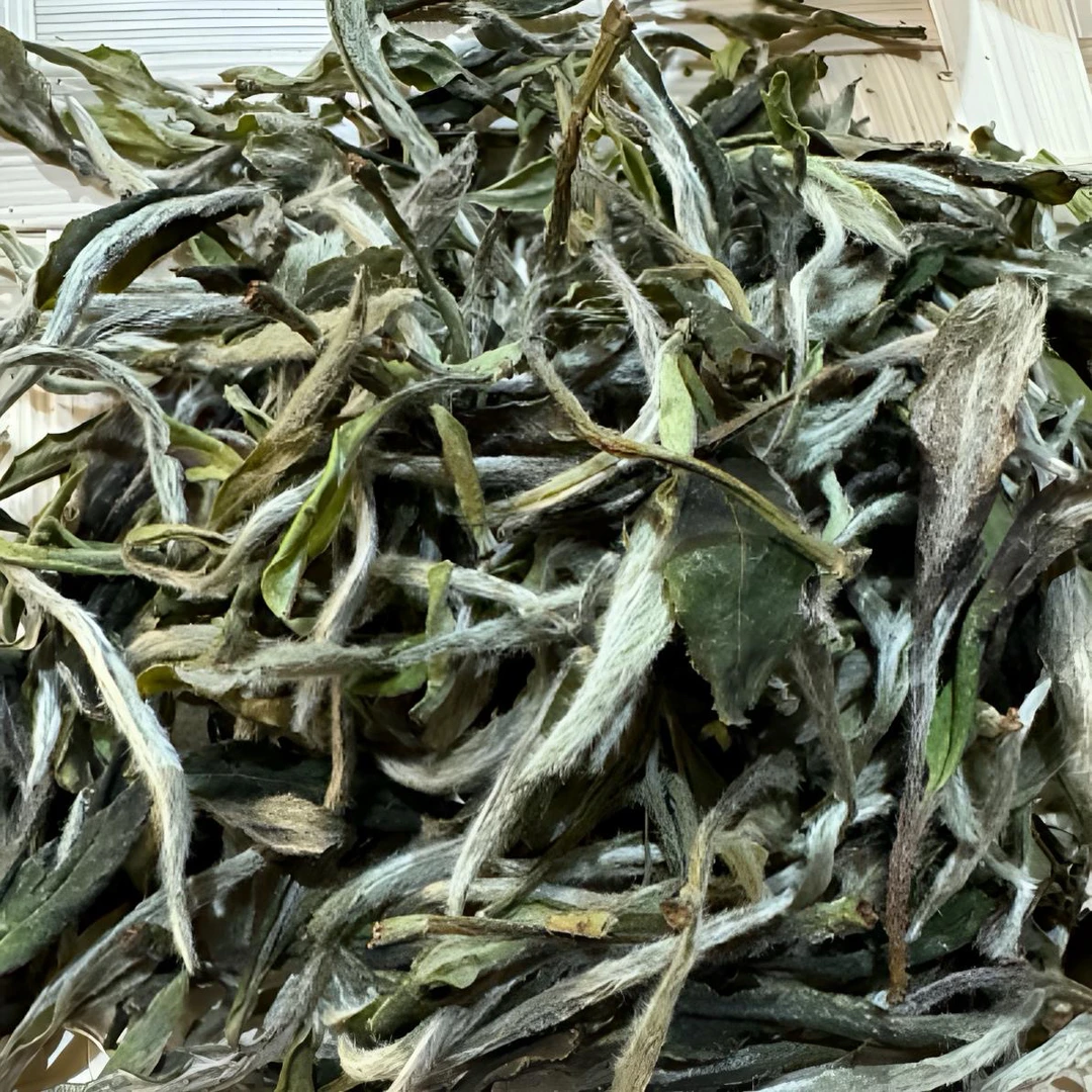 2025年福鼎白茶【精品茶】荒野老树花香二级白牡丹茶