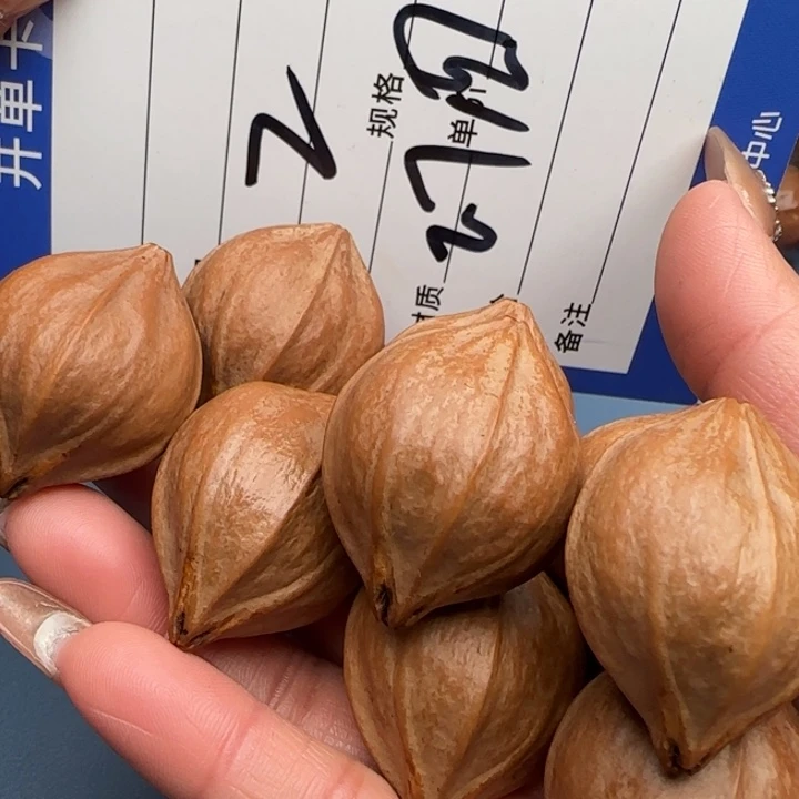 風***雲手串橄榄核橄榄核