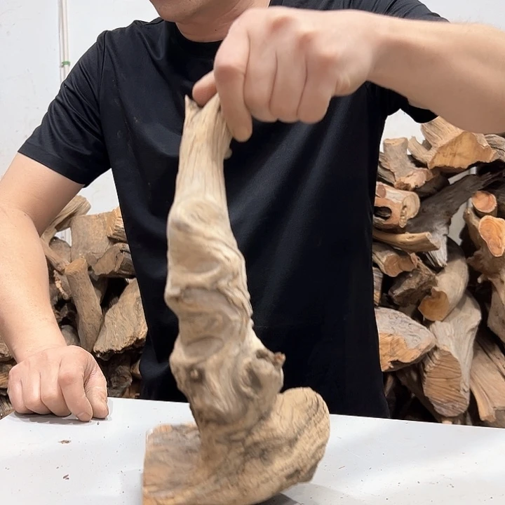 柏木神****？我们的生活也是如此吧