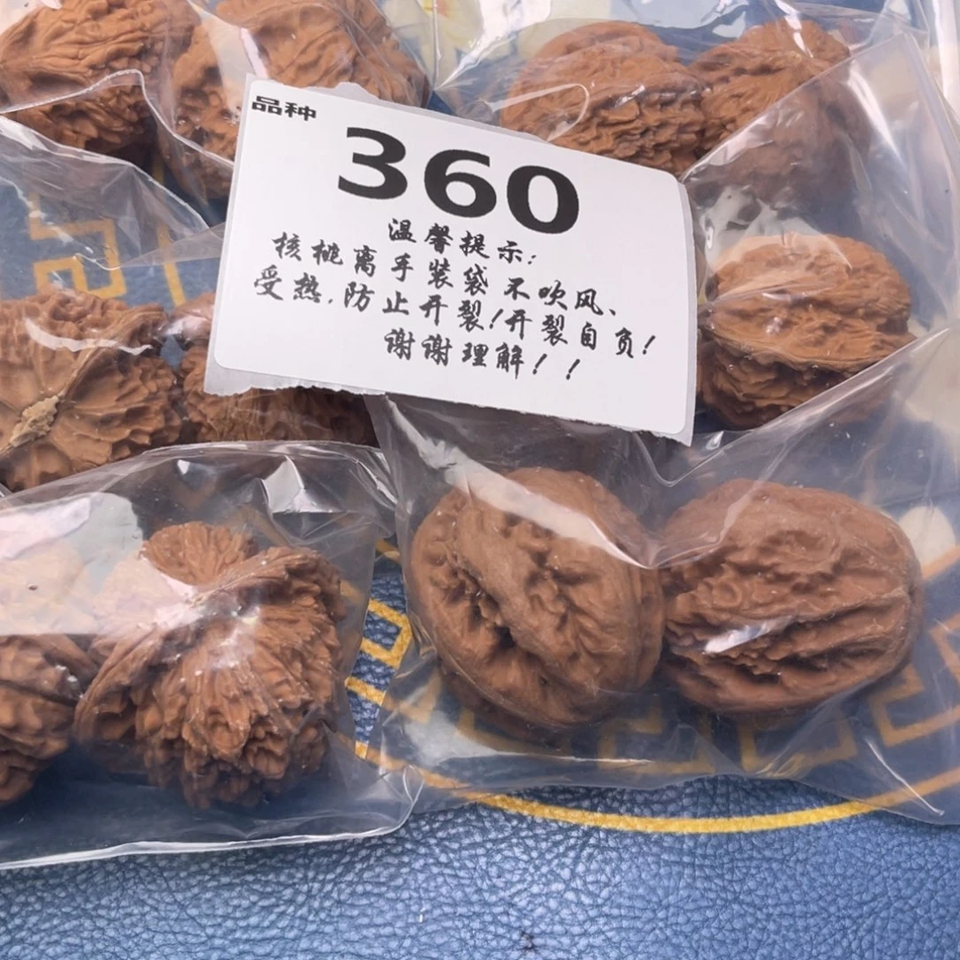 文玩核桃把件360号6对带霸王龙