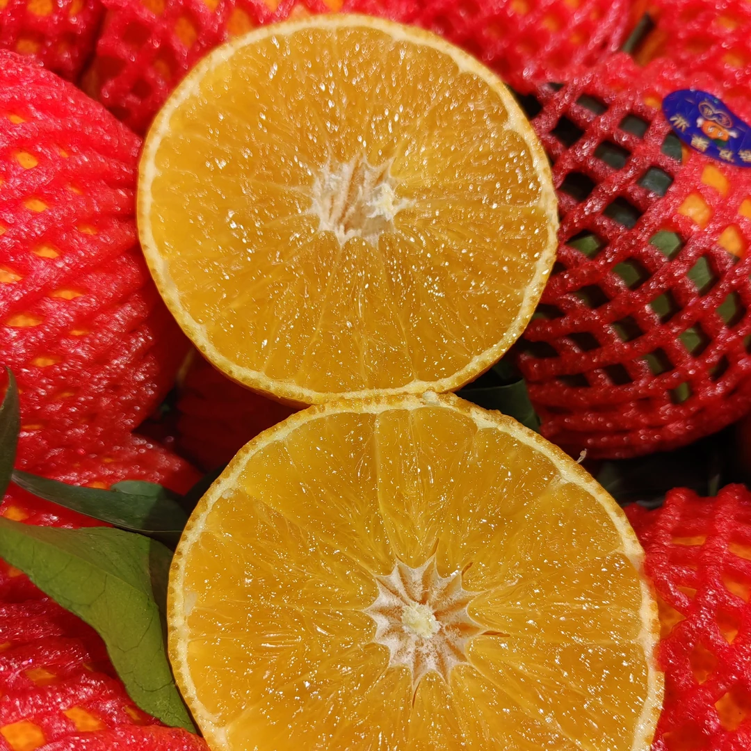 爱媛果冻橙，皮薄肉嫩，25元5斤