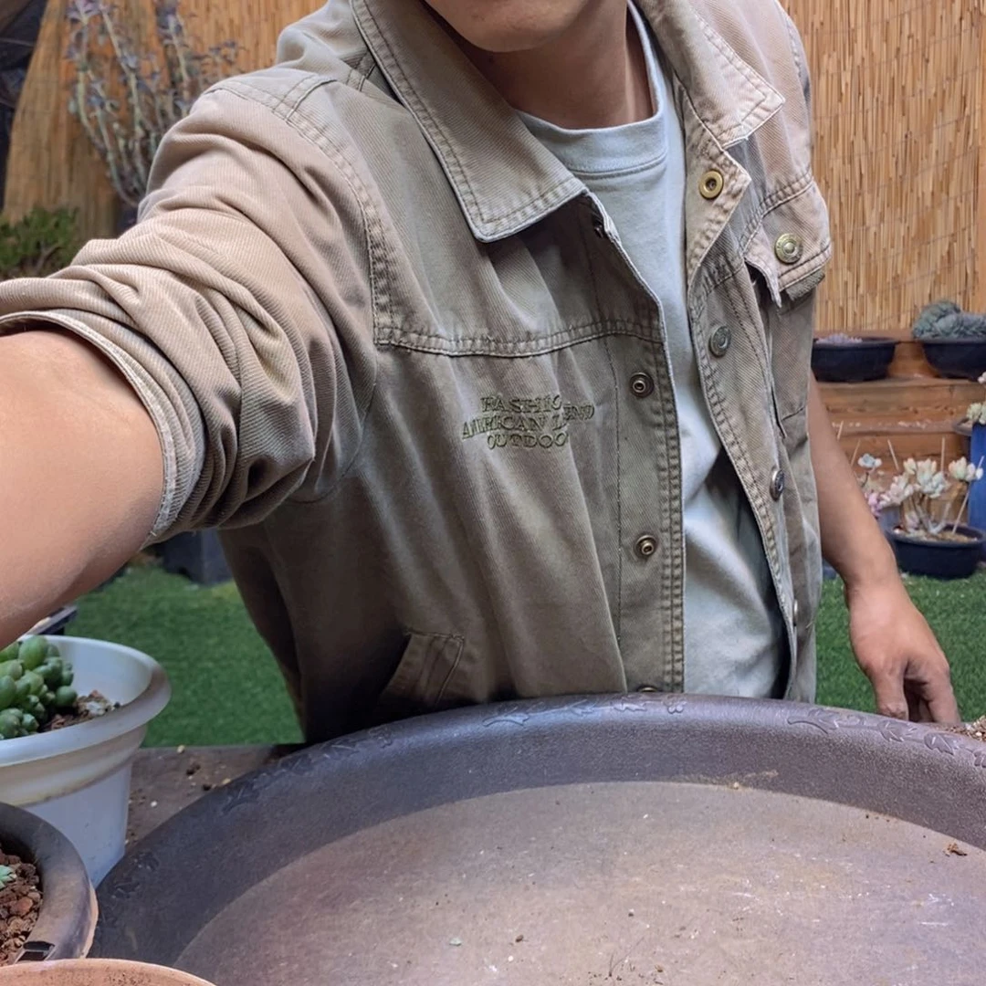 十*?234号福娘多肉