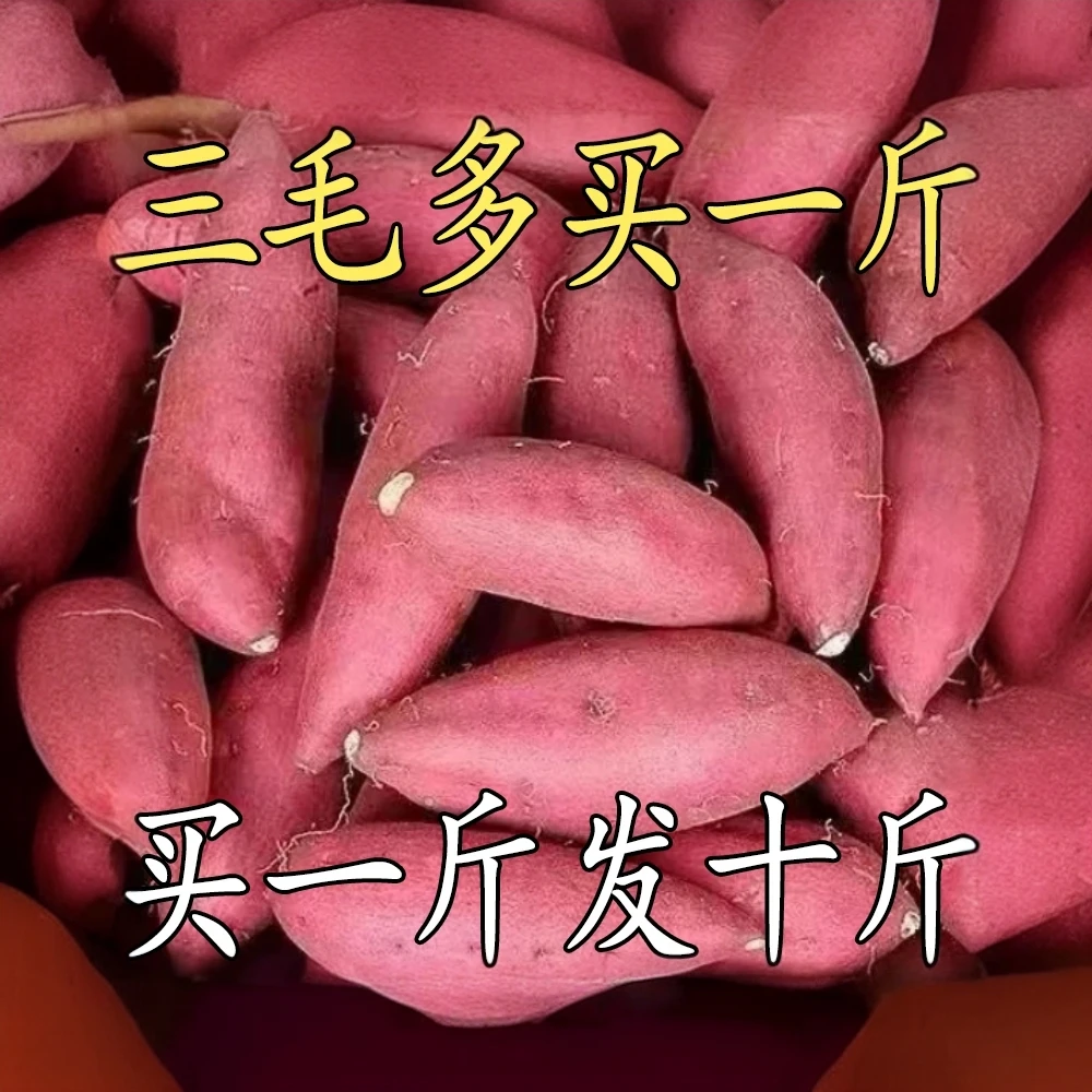 鲜嫩现采巨甜沙地黄心红薯蜜薯板栗薯健康粗粮红黄心红薯软糯香甜