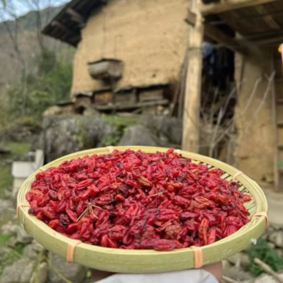 大眼推荐：甘肃康县阳坝高山老树枣皮山茱萸纯干货