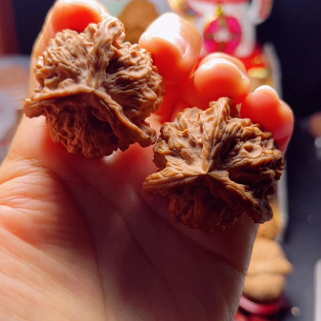 木质类肉球货头奔