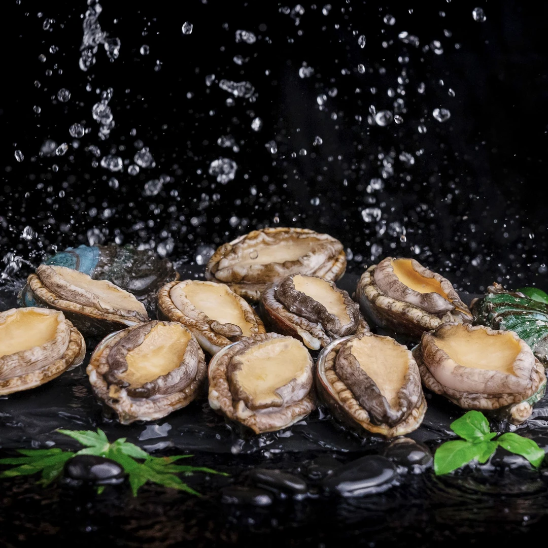 海洋环游记特大鲍鱼8头鲍新鲜速冻1kg(500g*2)深海鲍16只