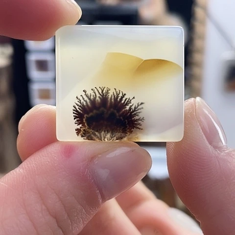 玛瑙/玉髓珠宝奇石未镶嵌