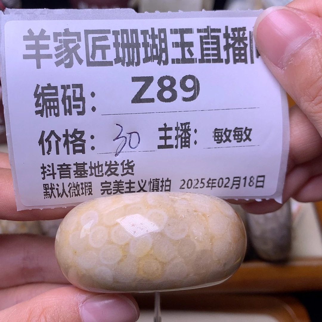 【闪购商品】硅化珊瑚（珊瑚玉）手链未镶嵌水*Z89