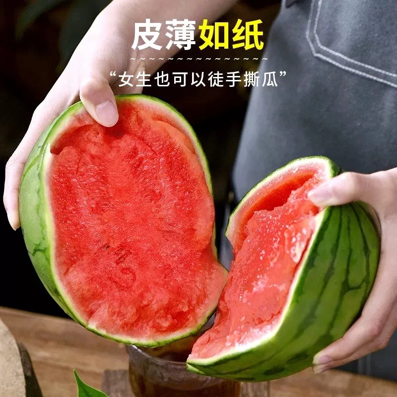 顺丰包邮广东小糖丸西瓜可以手剥皮1-7斤头茬西瓜有籽无籽随机
