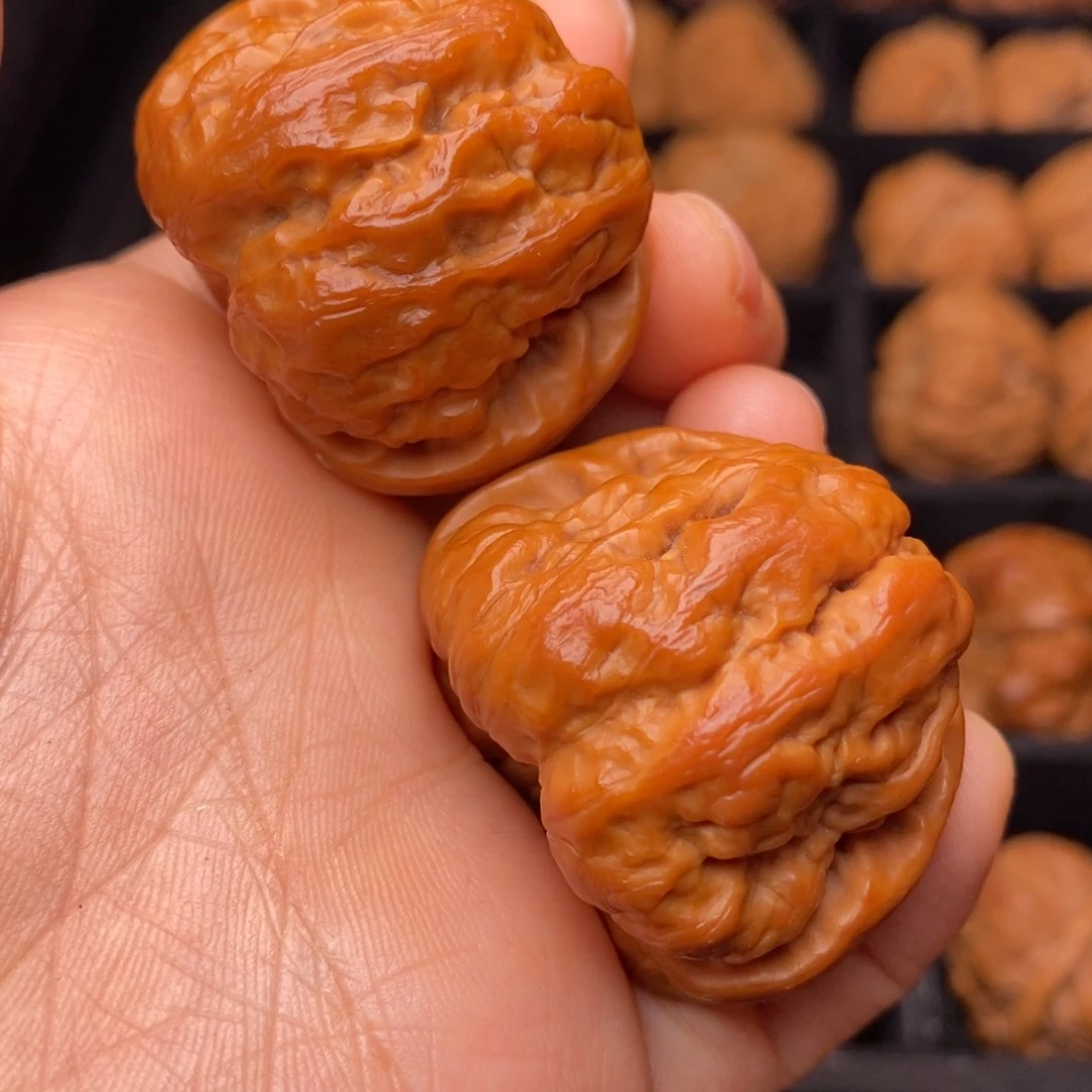 秦岭野生文玩核桃