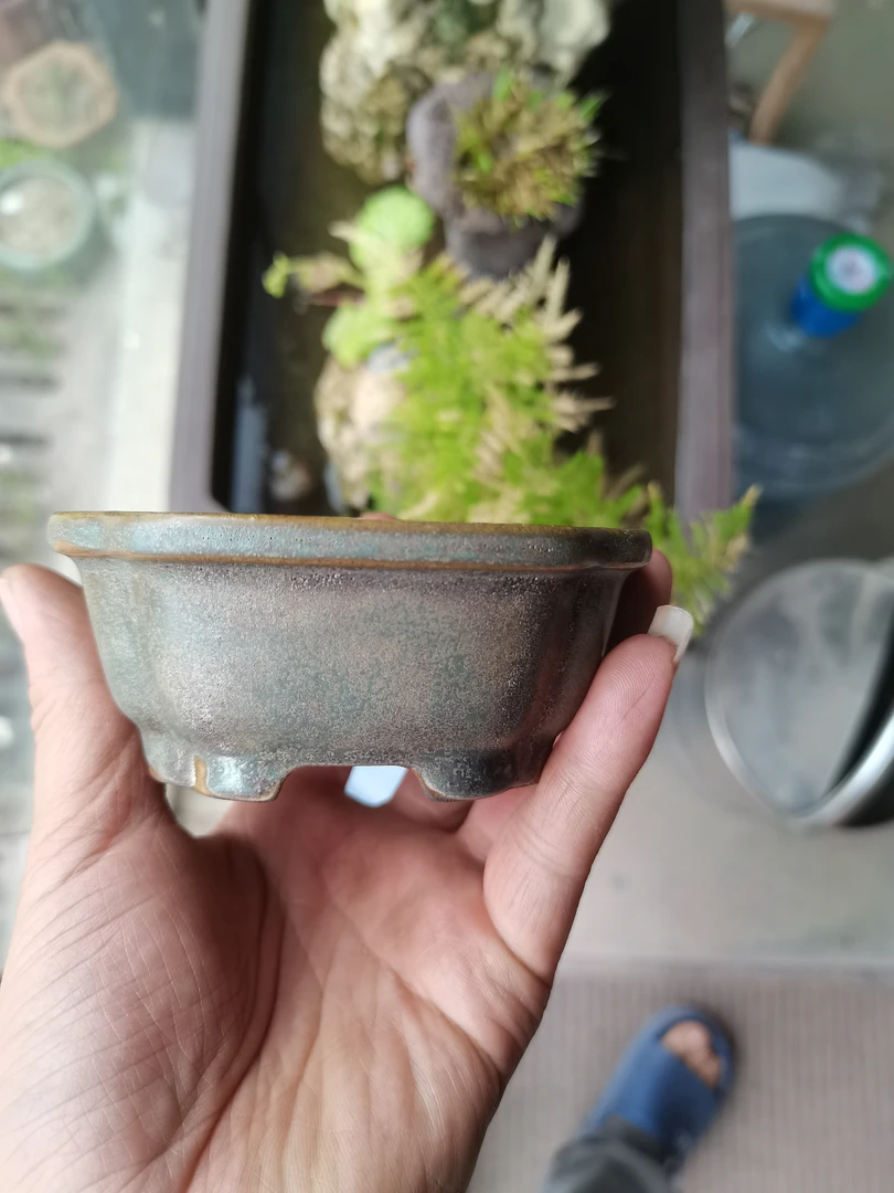 中高端紫砂釉质微盆小四方花盆