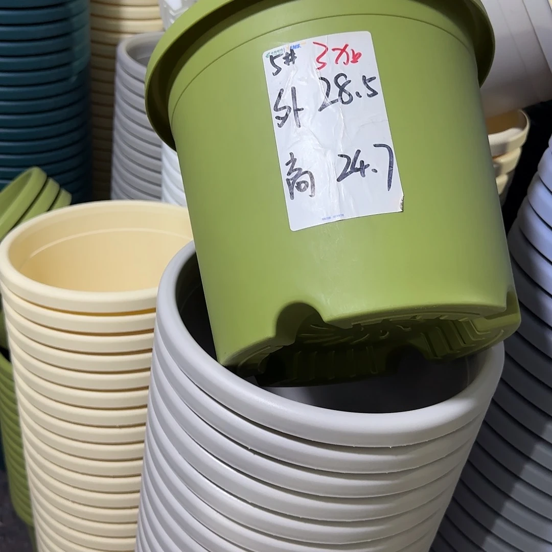 微瑕5号无托6个，果绿