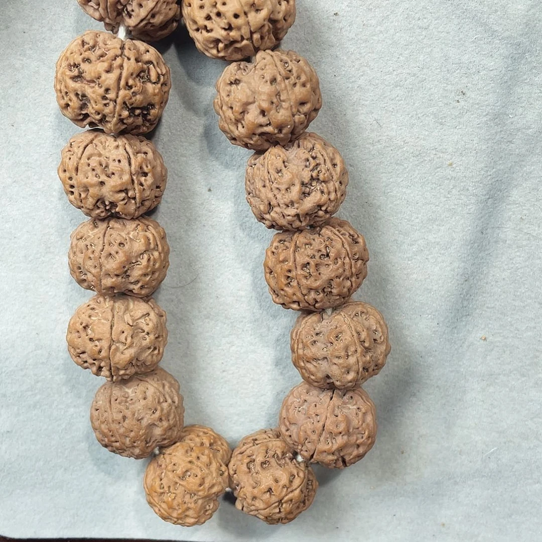 吊坠金刚菩提1号20尺蜂王梅花