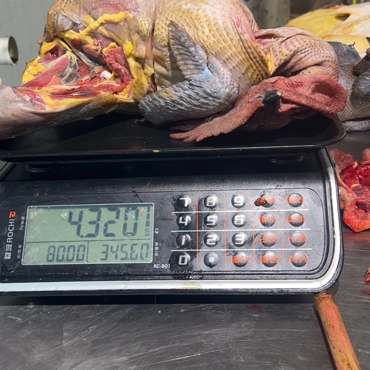 二号土鸡食用农产品中国大陆C****买