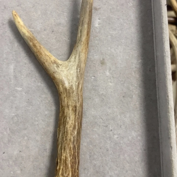 ***ㅤ鹿骨其他招牌转啦专拍专拍