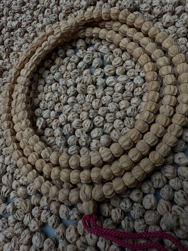 热振一哥《忘川》定制级柏香籽