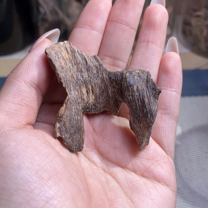 香料海南尖峰虫漏香4克开播福利