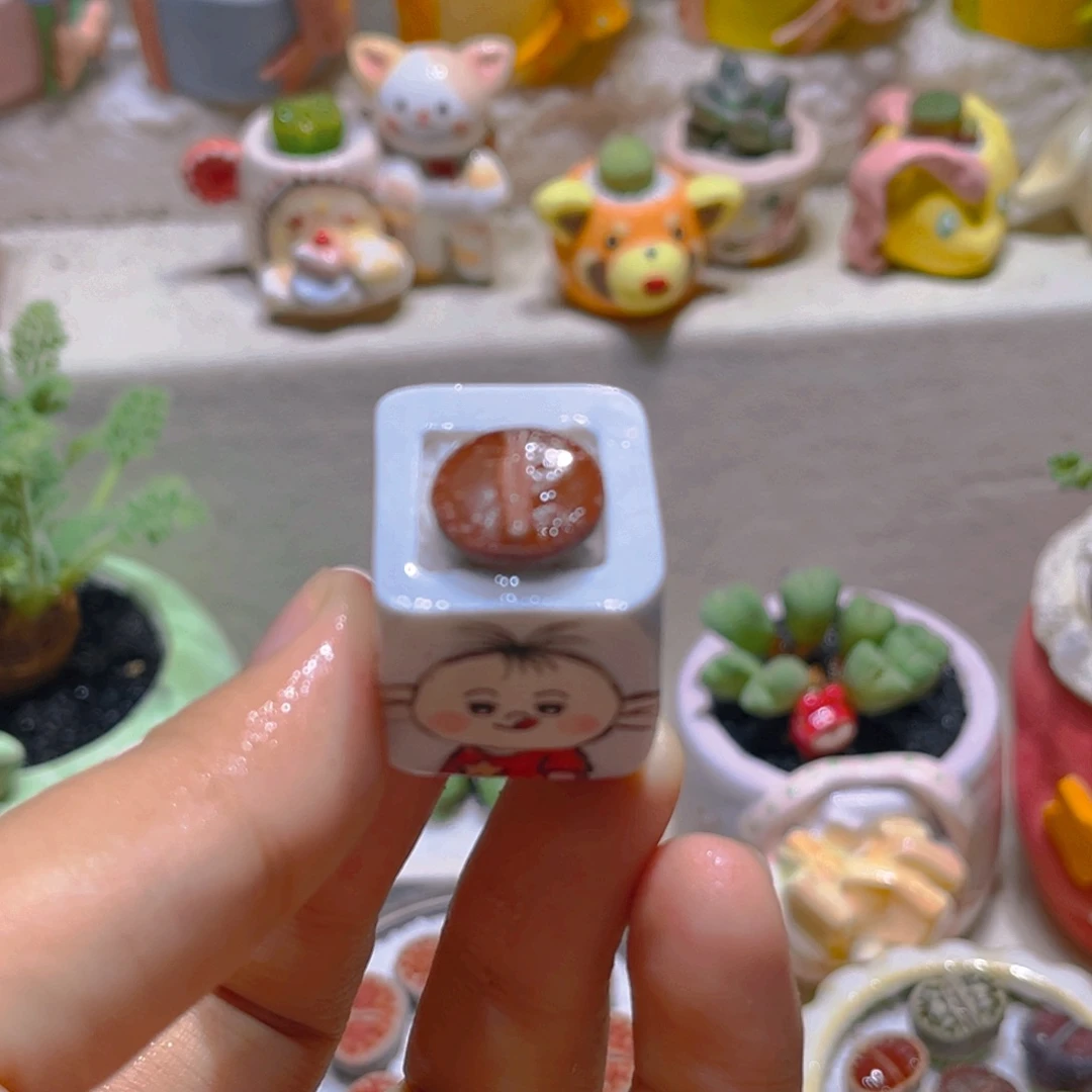 040高端多肉带盆带土手工盆