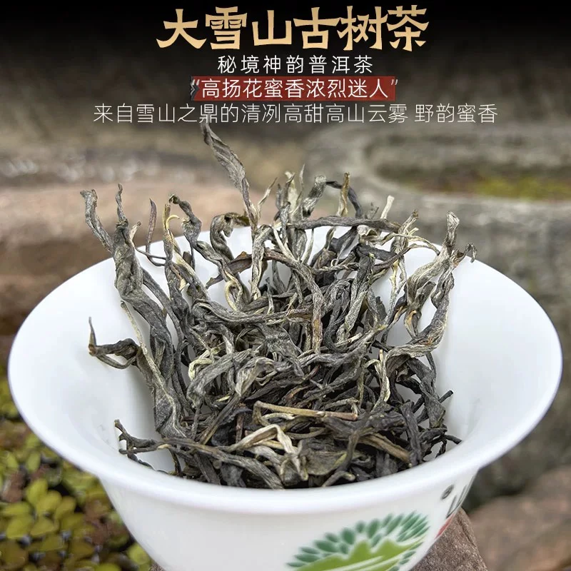【新人福利】勐库大雪山500克2025年春古树普洱生茶散茶