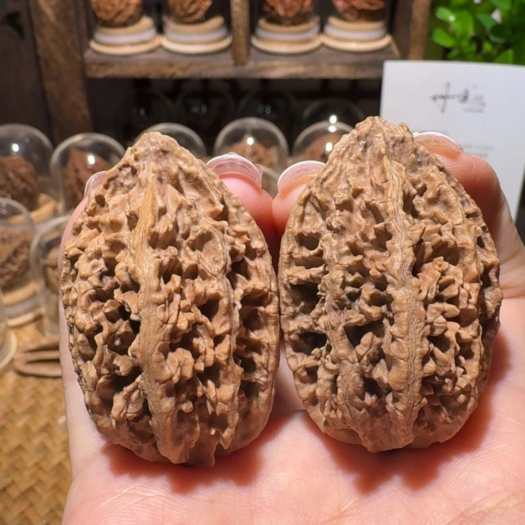 画***头文玩核桃把件沉水蚂蚁山