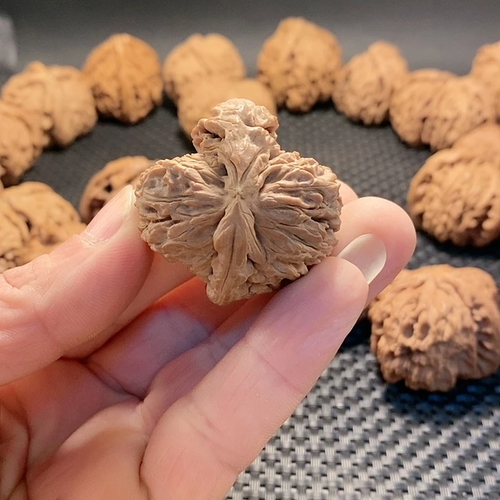 把件文玩核桃白师子头角全品