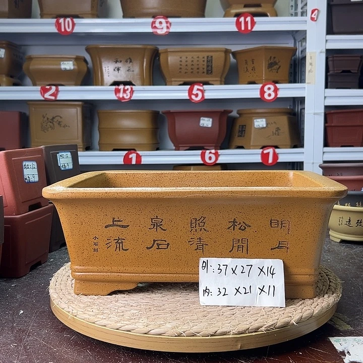 紫砂花盆蛇年大吉