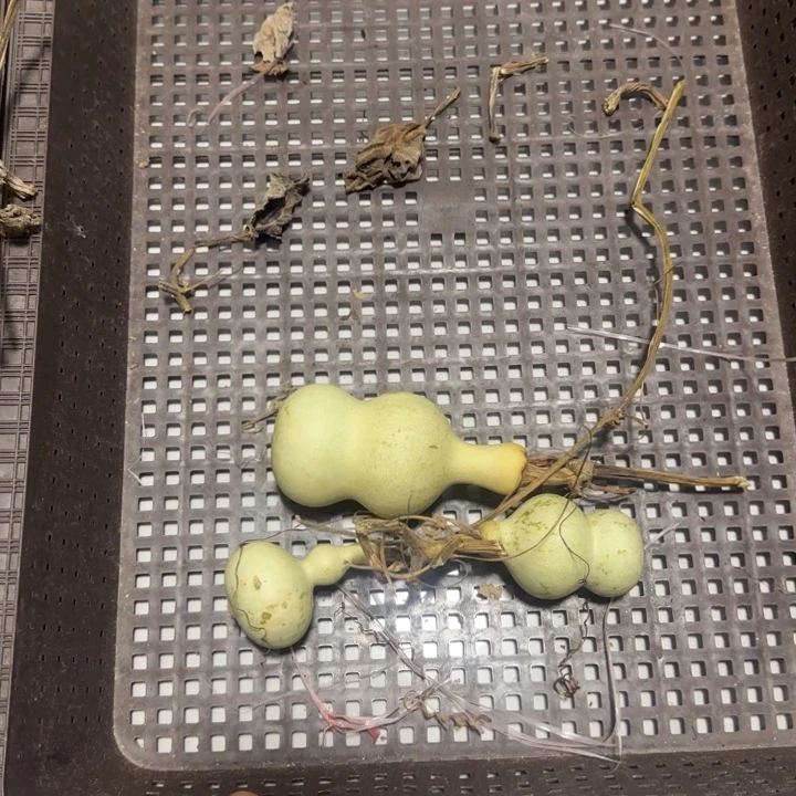 盛***夏感谢大哥支持兄弟，不保成