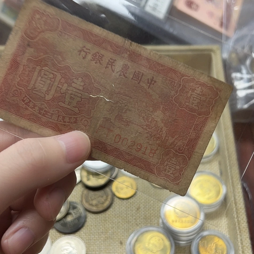 拍品。