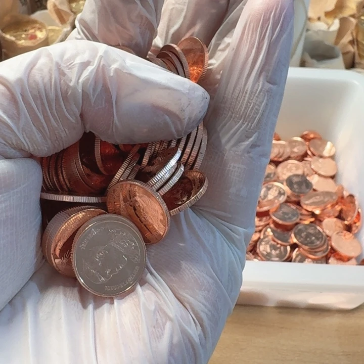 其他普通金属50枚，不带盒，泰泰币