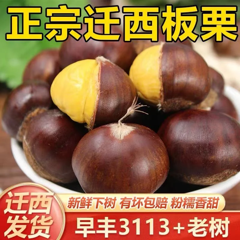 河北迁西3113板栗2025新鲜老品种栗子粉糯香甜 （去刺壳发货）