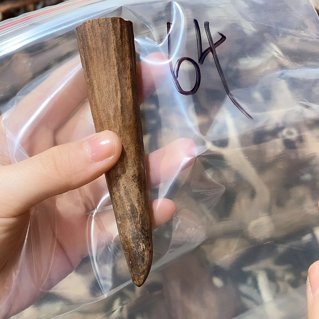 鹿角鹿角鹿角鹿角鹿