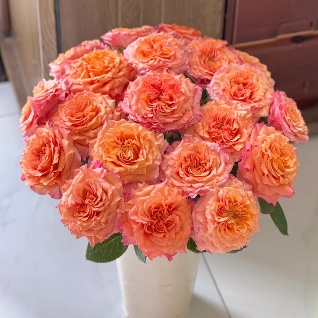 两单包邮！【顺丰冷链】【火灵鸟】玫瑰花