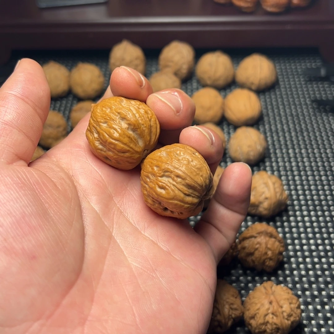 把件文玩核桃金蟾疙瘩包