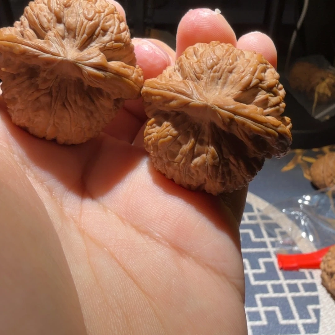 文玩核桃把件蛟龙