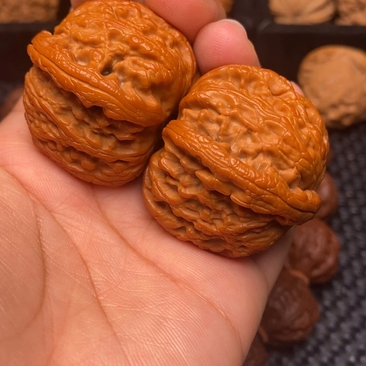 太**砾秦岭野生111111111111