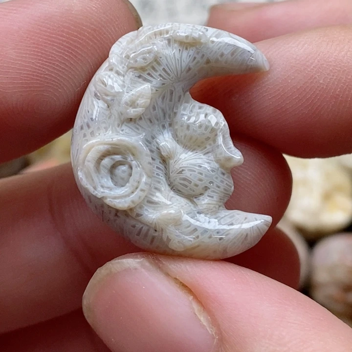 颈饰未镶嵌硅化珊瑚（珊瑚玉）小