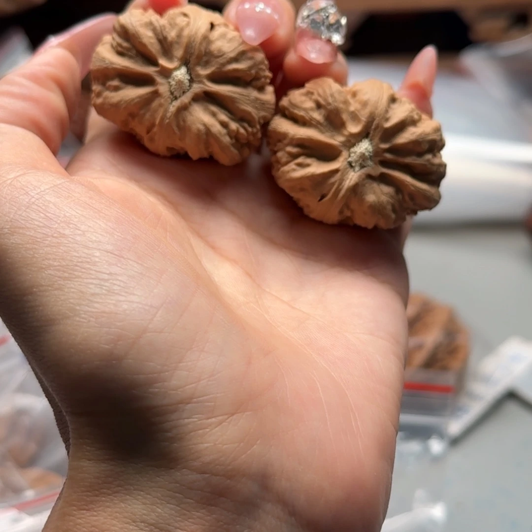 文玩核桃把件关东木子楸百核152