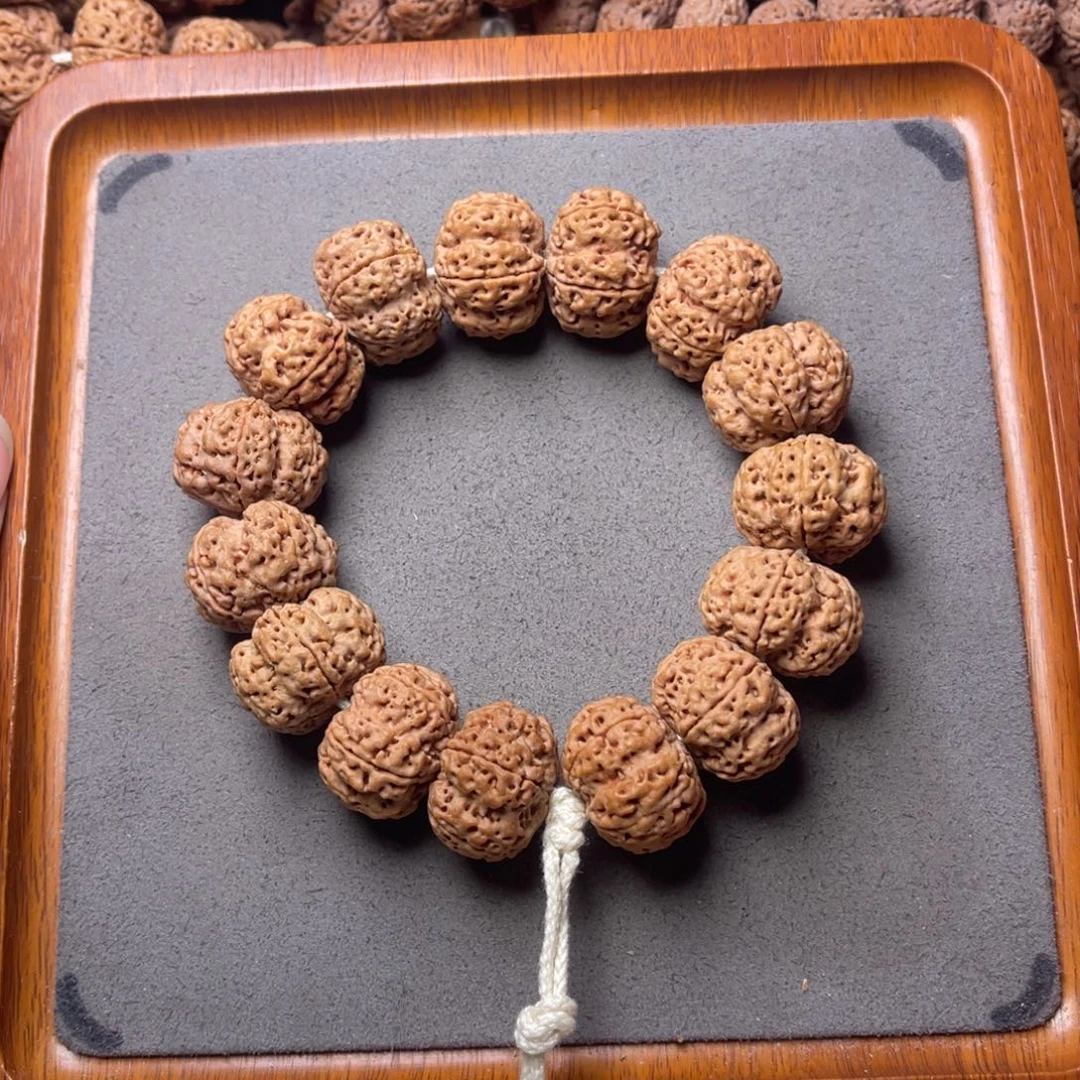 菩提籽类9号金刚菩提矮壮满肉梅花24