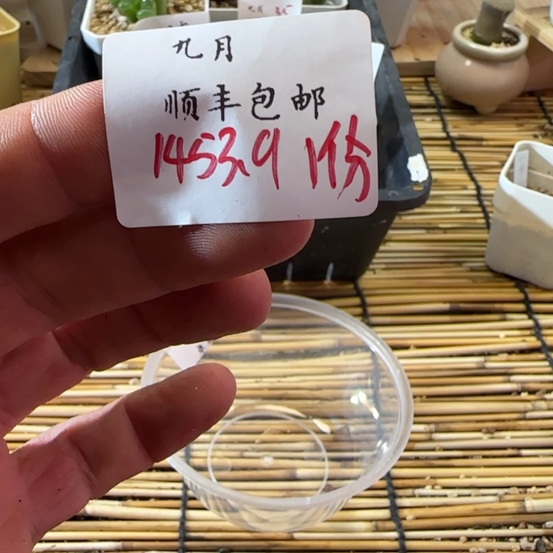 别***珠一物一拍—-1453.91份