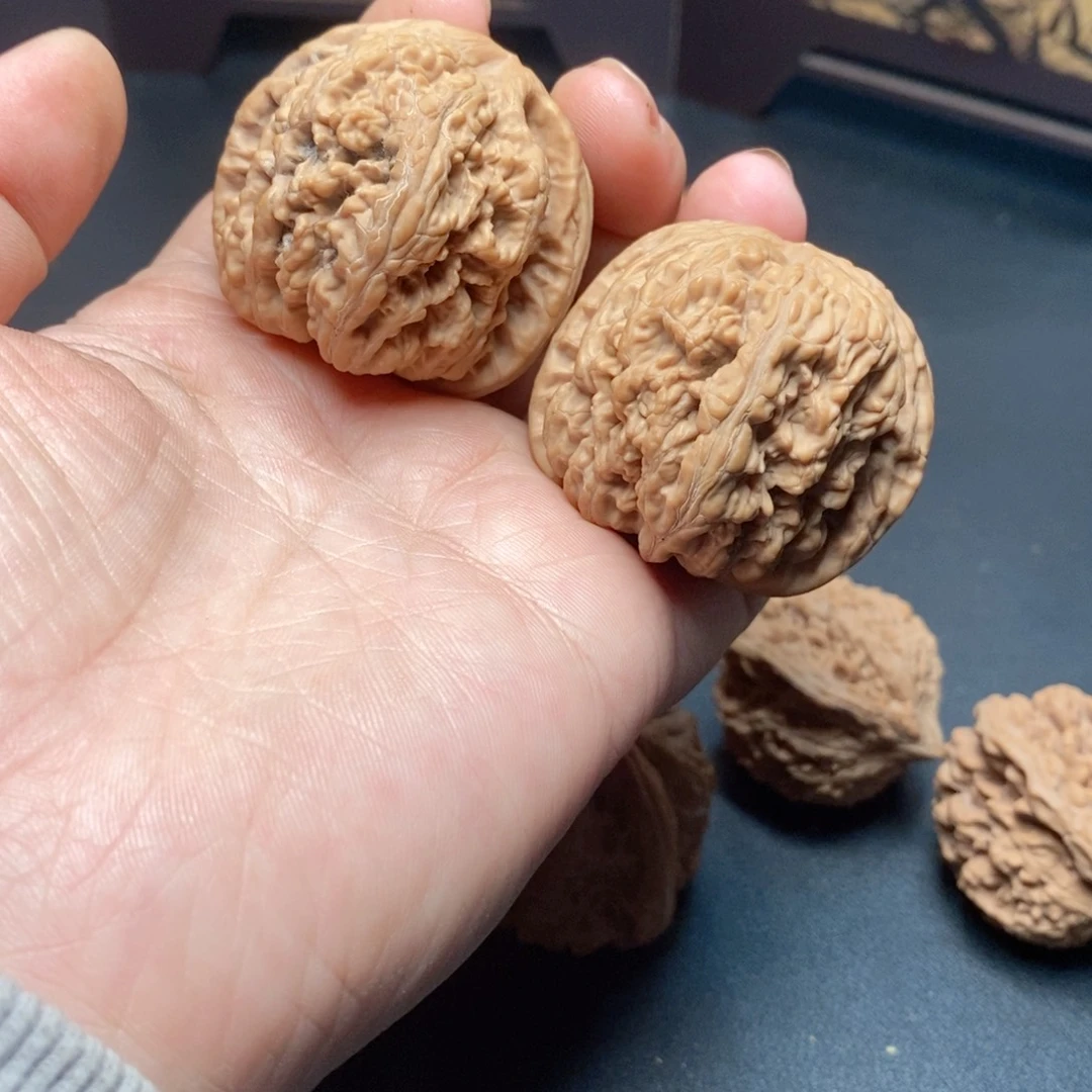 111全品无修粗筋42