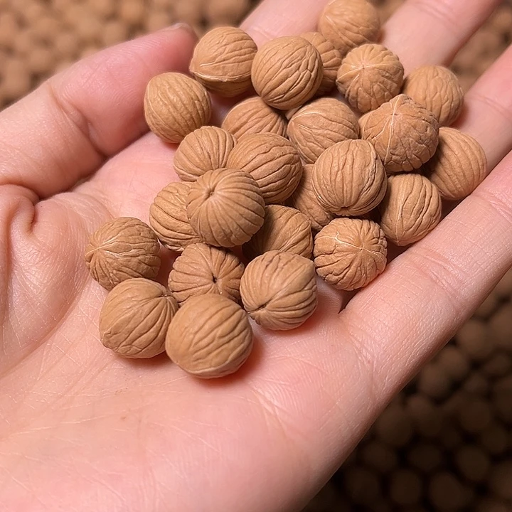 猴头核桃手串双歧苹果100颗