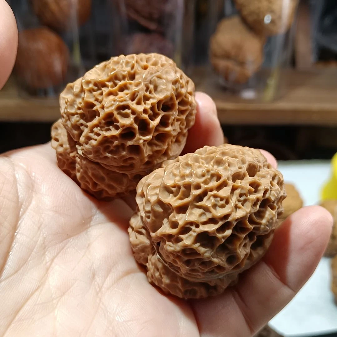 把件文玩核桃哦哦哦哦哦嗯嗯哦