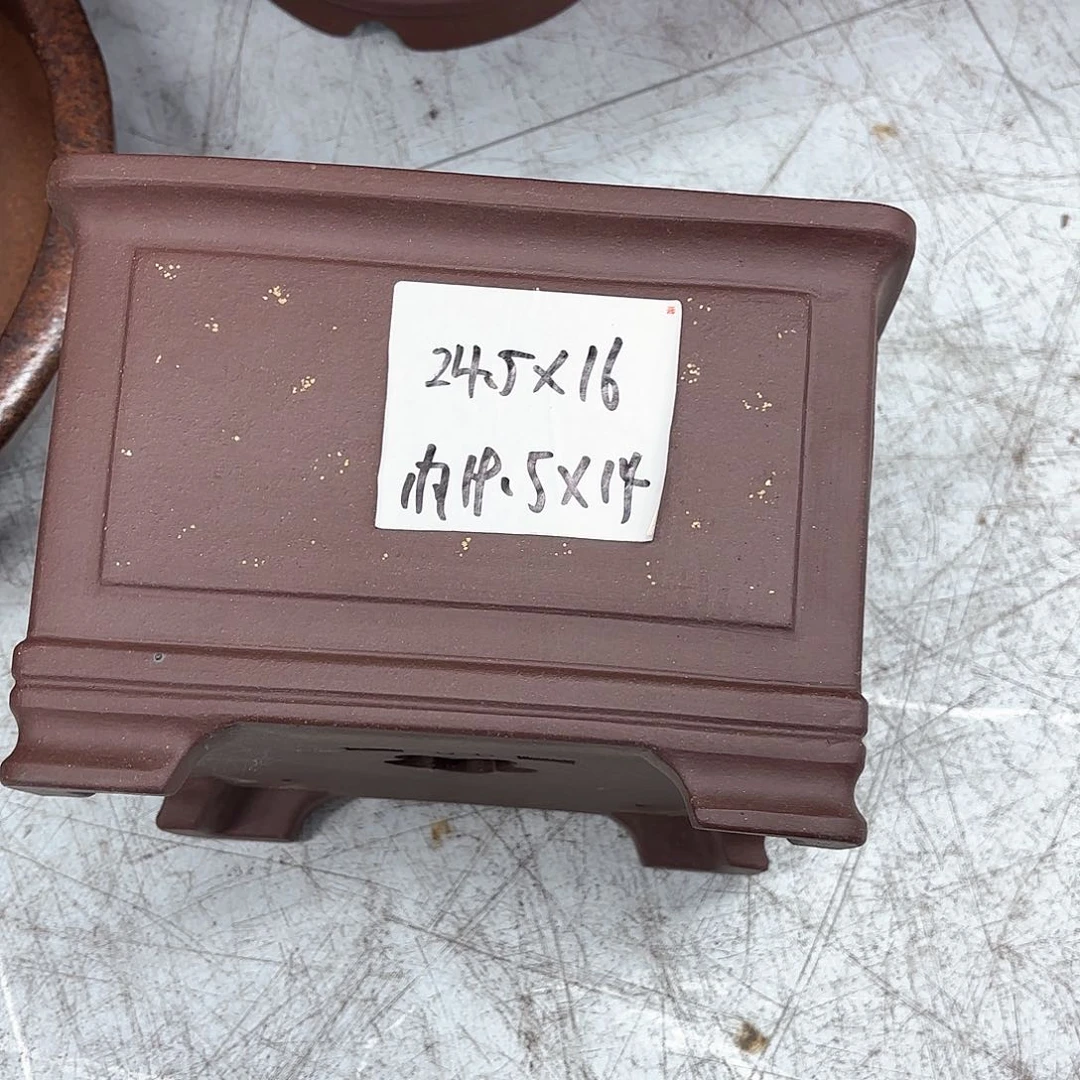 紫砂花盆紫砂的花开了没有