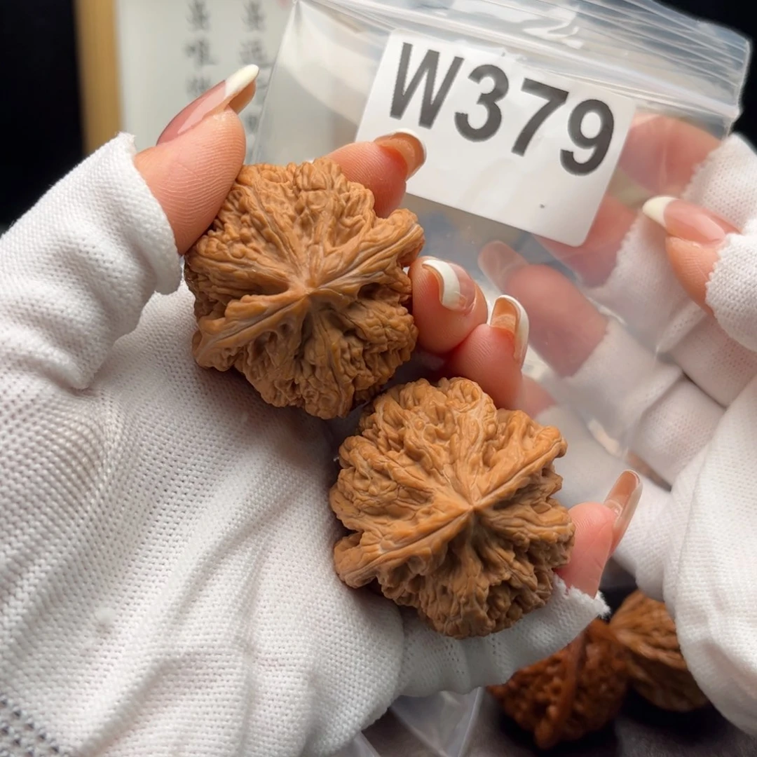 文玩核桃把件43粗筋w 379