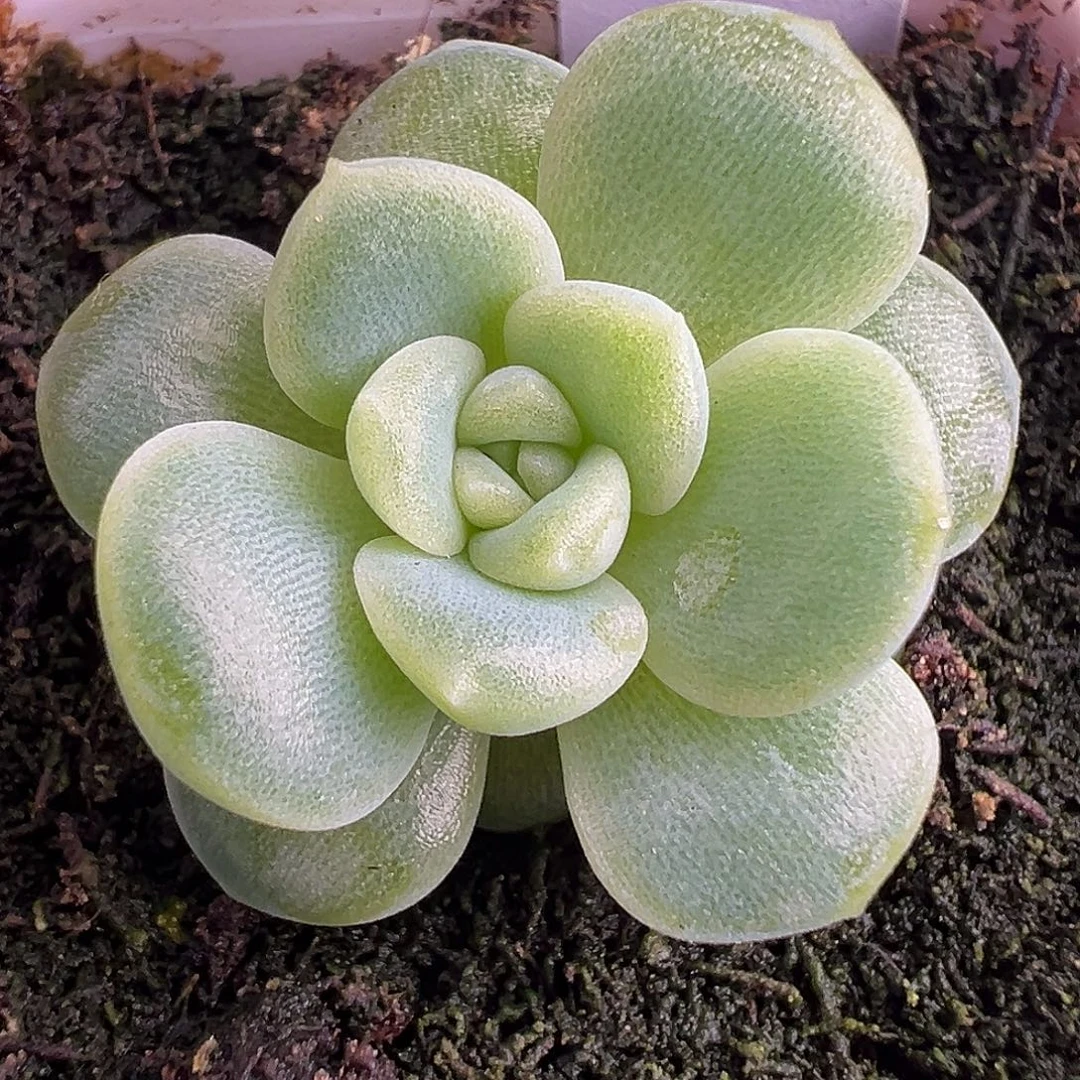 财富密码Ct。原价28