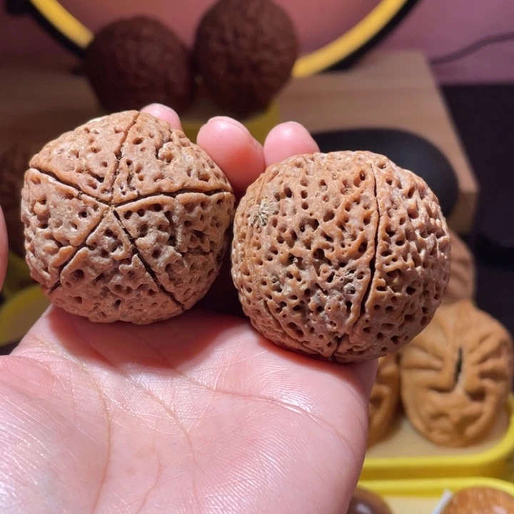 桃核把件五瓣金刚菩提45尺微瑕