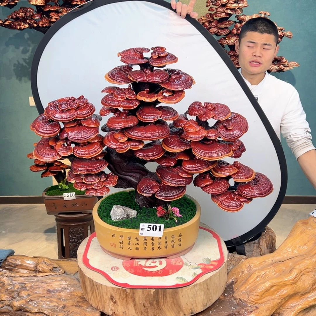 无花朵88888888888