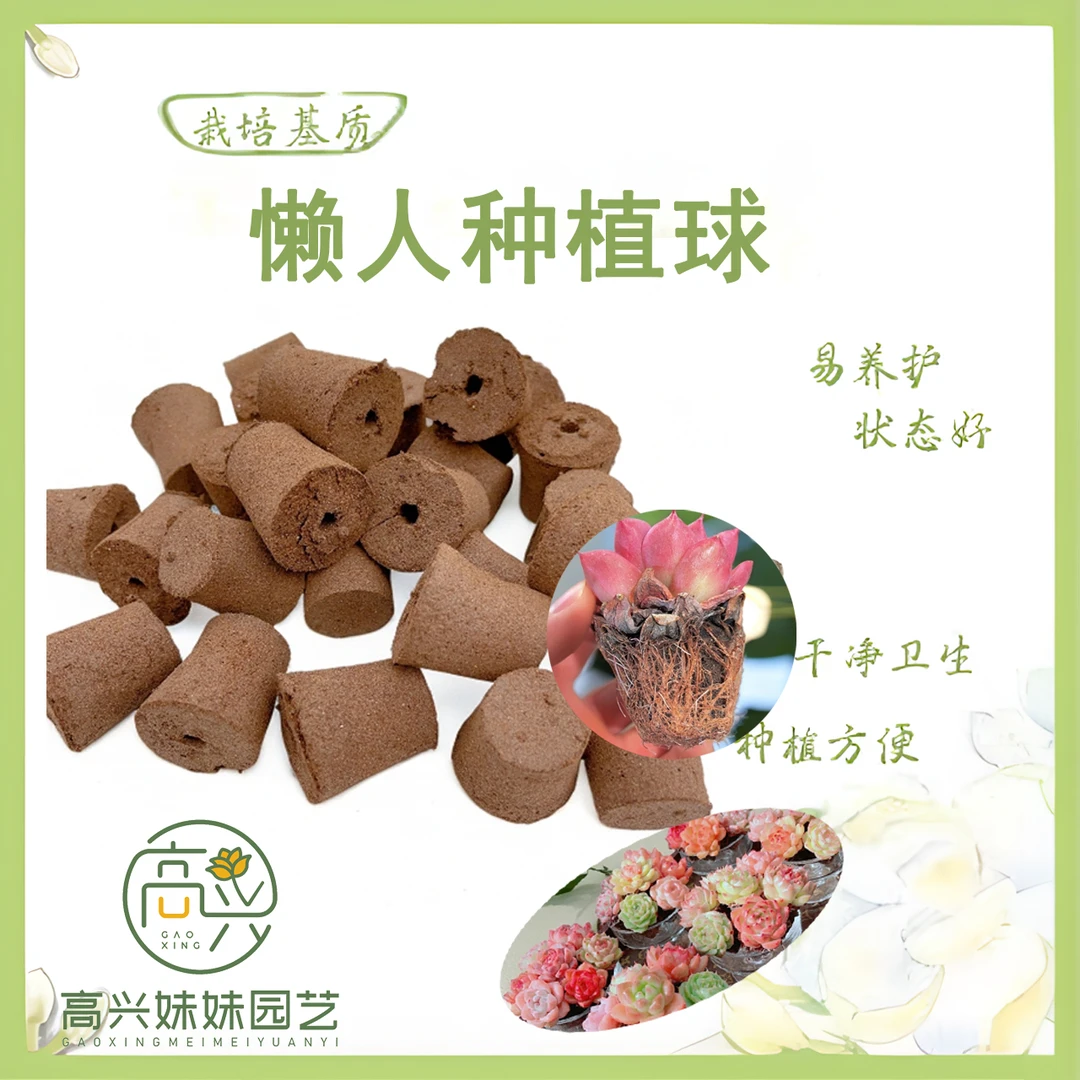生物懒人种植球无土多肉栽培基质控养育苗块无土植物营养基质